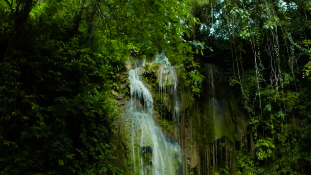 Cachoeira Bonita Floresta Verde Vista Superior Tropical Cambais Falls Mountain — Vídeo de Stock