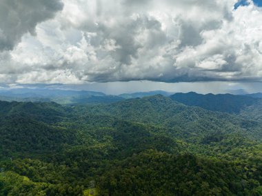 Malezya 'da orman ve dağlar. Tropikal bitki örtüsü olan dağ yamaçları. Borneo.