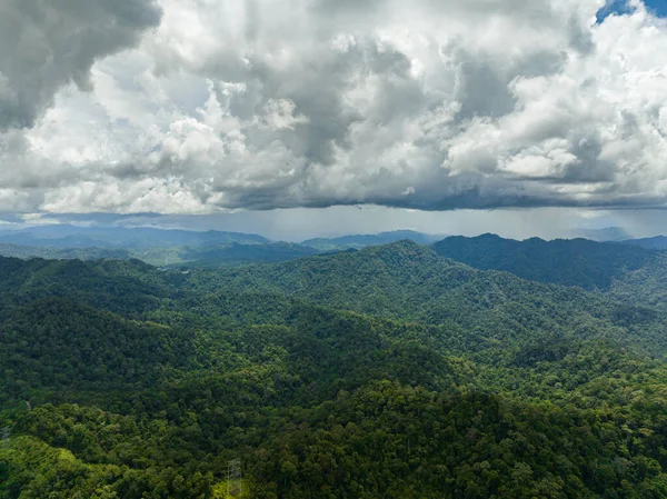 Jungle Montagnes Malaisie Pentes Montagneuses Avec Végétation Tropicale Bornéo — Photo