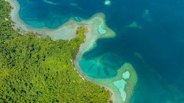 Adanın kıyısındaki koyda orman ile birlikte göl dronu var. Borneo, Sabah, Malezya.