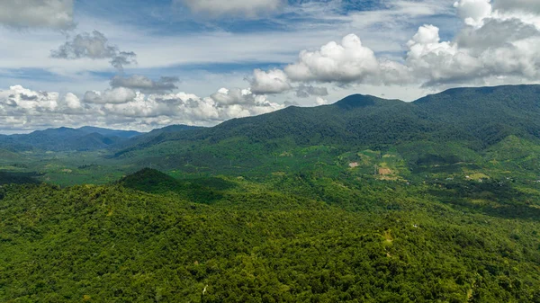 Flygfoto Över Djungel Och Berg Borneo Bergsluttningar Med Tropisk Vegetation — Stockfoto