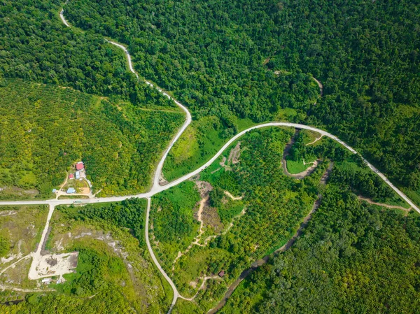 Повітряний Вид Олійних Пальмових Плантацій Тропічних Лісів Пальмова Нафта Борнео — стокове фото