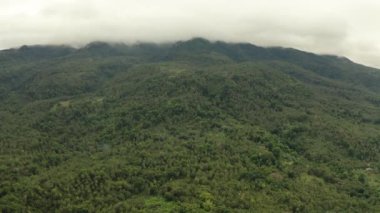 Dağlar yağmur ormanlarını, bulutlu havalarda ağaçlar, hava manzarası. Camiguin, Filipinler. Tropikal adada dağ zirveleri ormanla kaplı bir dağ manzarası. Dağların yamaçlarında