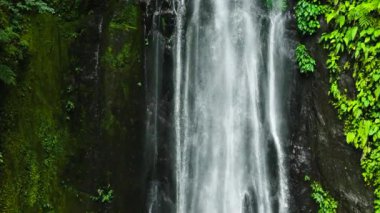 Tropikal bir ormandaki şelalenin havadan görünüşü. Ağır çekim. Pulang Tubig Şelalesi. Zenciler, Filipinler.