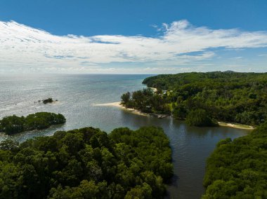 Borneo adası kıyıları, tropikal bitki örtüsü ve orman. Sabah, Malezya.