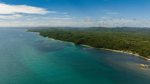 Linha Costeira Com Selva Floresta Tropical Bornéu Sabah Malásia — Fotografia de Stock