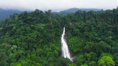 Yağmur ormanı manzaralı güzel bir şelale. Mapalana Şelalesi, Sri Lanka.