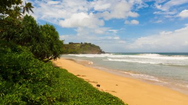 Aerial view of sandy beach with palm trees and ocean surf with waves. Talalla Beach, Sri Lanka.