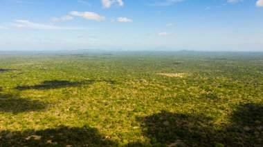 Ulusal parkın en iyi orman ve yağmur ormanları manzarası. Sri Lanka.