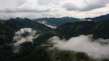 Mountains with forest covered with clouds and fogs at dusk.