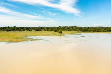 Sri Lanka 'daki tropikal bitki örtüsü ve ormanların arasındaki göl manzarası.