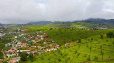Dağın tepesindeki çay çiftliğinin havadan görünüşü. Nuwara Eliya, Sri Lanka. Çay evi manzarası.