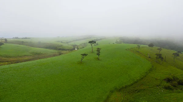 Prairies Verdoyantes Pâturages Parmi Les Collines Campagne Sri Lanka — Photo