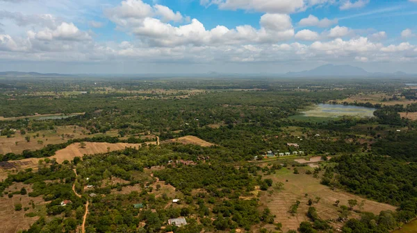 밀림으로 둘러싸인 농경지가 골짜기 스리랑카 — 스톡 사진