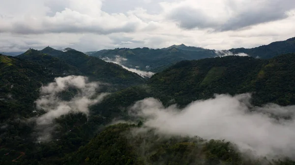 Mountains Forest Covered Clouds Fogs Dusk — Photo