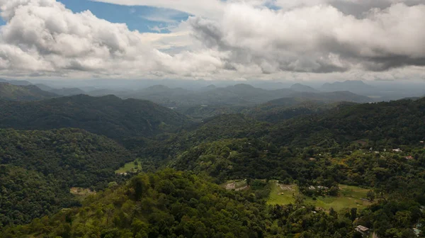 斯里兰卡山坡上的绿林和丛林的空中景观 — 图库照片