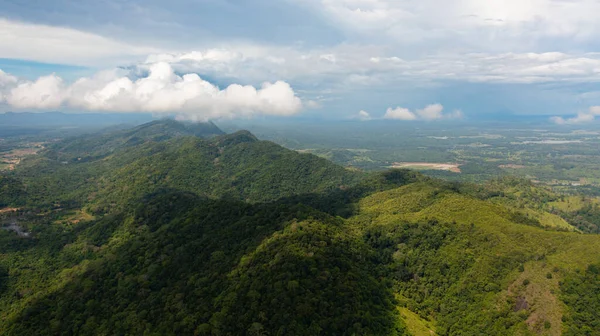 斯里兰卡的高山和青山 常绿植被的高山斜坡 — 图库照片