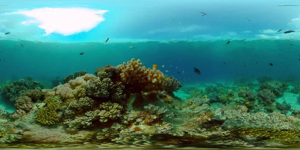 Marint Undervattensrev Tropiska Färgglada Undervattens Kustlandskap Filippinerna Virtuell Verklighet 360 — Stockfoto