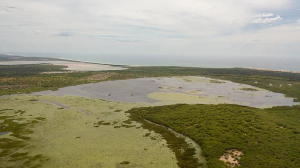热带植被的湿地和湖泊 动物的自然栖息地 斯里兰卡 — 图库照片