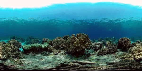 Morska Rafa Podwodna Tropikalny Kolorowy Podwodny Krajobraz Morski Filipiny Wirtualna — Zdjęcie stockowe