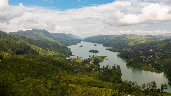 stock image Aerial drone of Hills with tea plantations around the lake in the mountains. Maskeliya, Castlereigh, Sri Lanka.
