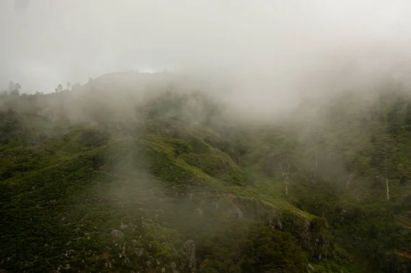 Vista Aérea Nevoeiro Nuvens Entre Propriedades Chá Plantações Chá Nas — Fotografia de Stock