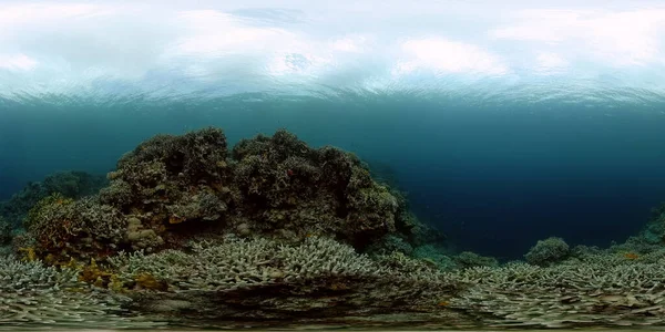 Tropiska Fiskar Och Korallrev Vid Dykning Vacker Undervattensvärld Med Koraller — Stockfoto