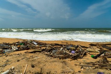 Sea coast after the storm. Environmental nature waste. Negombo, Sri Lanka.