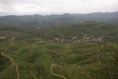 Sri Lanka 'da çay evi. Yüksek dağ çay tarlası..