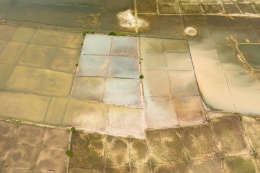 Rice fields and agricultural land in the countryside of Sri Lanka.