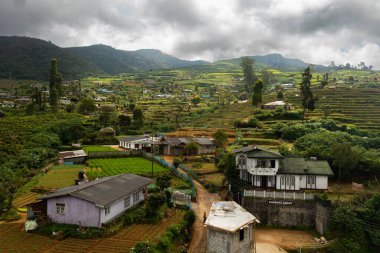 Green tea terraces and a village on the hillsides. Tea estate landscape. Nuwara Eliya, Sri Lanka.