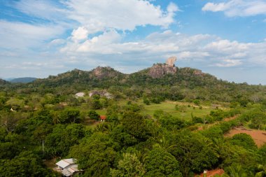 Tropikal ormanlı Sri Lanka manzarası.