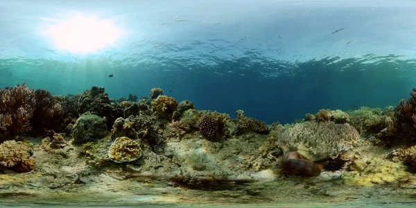 Κοραλλιογενής Ύφαλος Υποβρύχια Τροπικό Θαλάσσιο Τοπίο Τροπικός Ύφαλος Φιλιππίνες Εικονική — Φωτογραφία Αρχείου
