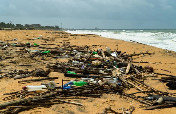 Discarded plastic debris trash pollution after sea swell storm, environmental nature waste. Negombo, Sri Lanka.