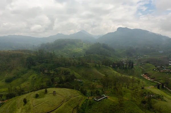 Vista Aérea Das Plantações Chá Sri Lanka Paisagem Montanha Com — Fotografia de Stock