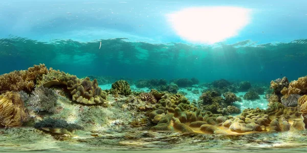채로운 산호초 산호초입니다 물고기와 필리핀 360 — 스톡 사진