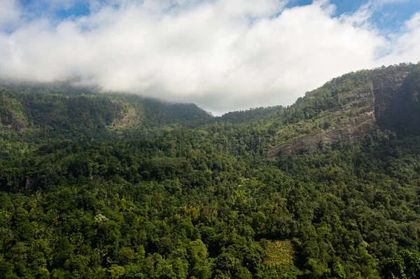 Jungle Mountains Sri Lanka Mountain Slopes Tropical Vegetation — Stockfoto