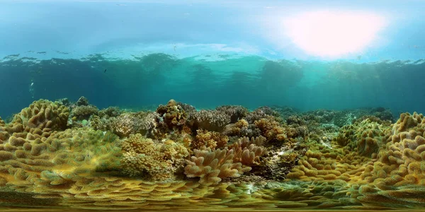 Korallzátony Víz Alatt Halakkal Tengeri Élettel Korallzátony Trópusi Halak Fülöp — Stock Fotó