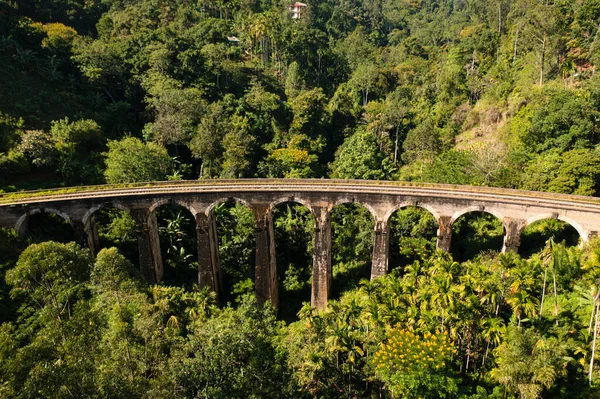 Ella, Sri Lanka yakınlarındaki dağlık bölgede dokuz kemer köprüsü. Her yer orman ve çay tarlası..