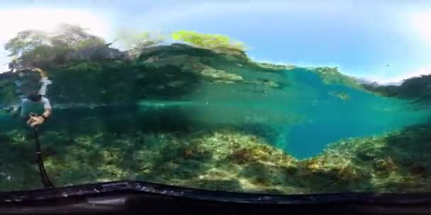 Škola Sardinek Tropický Podvodní Barevný Útes Tropické Podmořské Ryby Filipíny — Stock video
