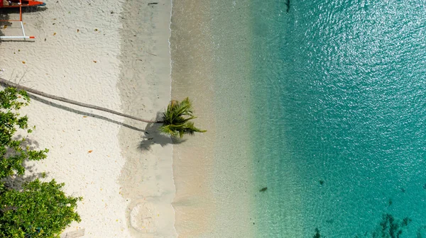 ヤシの木と波と海のサーフィンで砂浜の空中ビュー Pagudpud イロコス ノルテ フィリピン — ストック写真