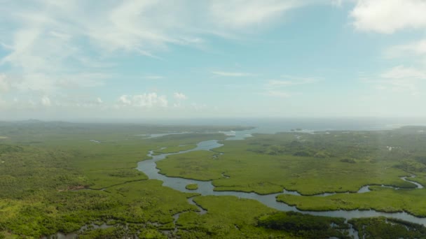 Mangrove Groene Bossen Met Rivieren Kanalen Het Tropische Eiland Antenne — Stockvideo