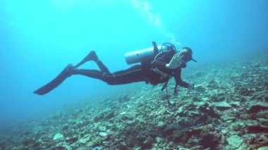 Dalgıç sualtı dünyasının ve mercan resiflerinin güzelliğine hayran. Sipadan, Malezya.