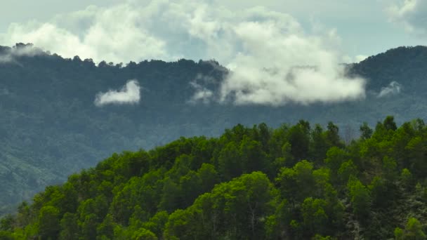 Αεροφωτογραφία Της Ζούγκλας Και Των Βουνών Στο Βόρνεο Ορεινές Πλαγιές — Αρχείο Βίντεο