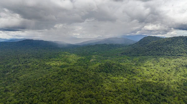 Drone Aérien Forêts Tropicales Sur Île Bornéo Jungle Sous Les — Photo