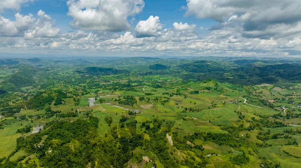 Sugar cane plantations and farmland on the slopes of the hills. Negros, Philippines