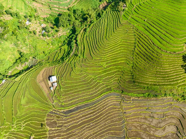 stock image Aerial view of farmland with rice terraces in the countryside. Negros, Philippines.