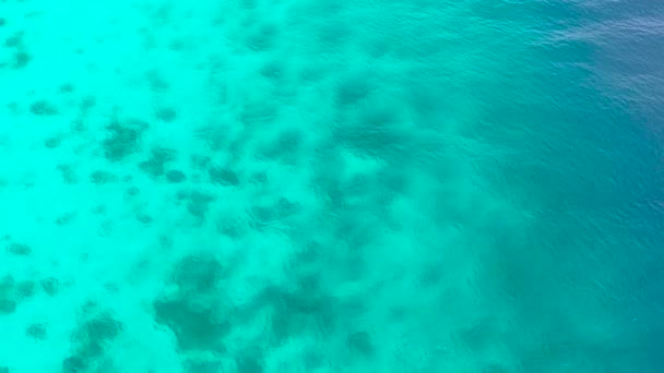 Wasseroberfläche Blaues Meer Mit Korallenriff Blick Von Oben Transparentes Türkisfarbenes — Stockvideo