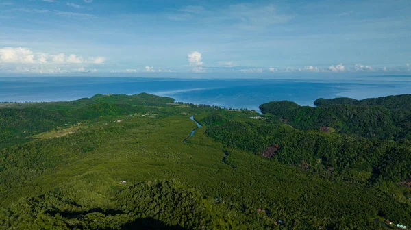 Aerial view of coast of Borneo island and tropical vegetation and jungle. Sabah, Malaysia.