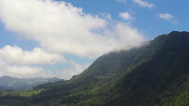 Jungle Montagnes Sri Lanka Pentes Montagneuses Avec Végétation Tropicale — Video